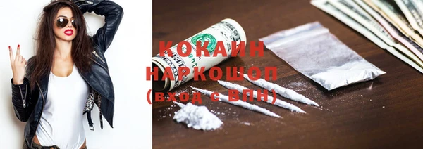шишки Нязепетровск