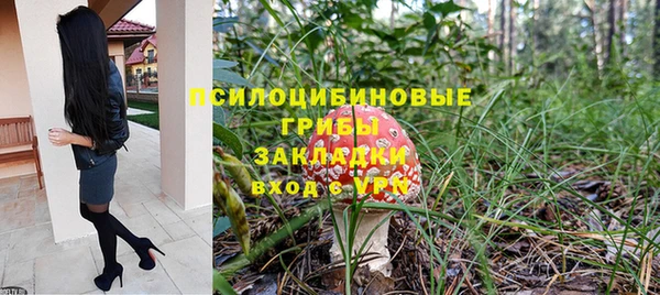 Альфа ПВП Нягань