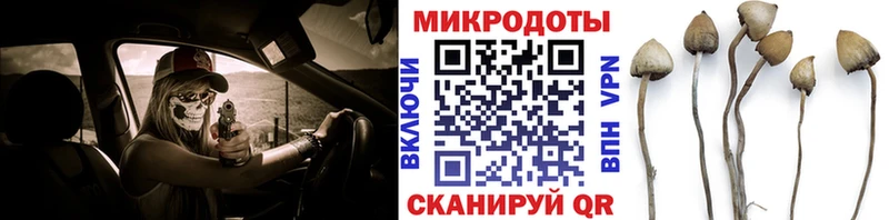 Галлюциногенные грибы мицелий  магазин продажи наркотиков  Щёлкино 